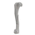 renderowanie kosci.244