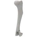renderowanie kosci.252