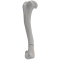 renderowanie kosci.254
